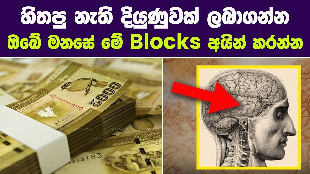 නොසිතු දියුණුවක් ලබන්න මෙන්න Blocks අයින් කරන්න ඕනි හේතුව සහ මාර්ගය. දියුණු වීම ඔයාගෙ අයිතියක්