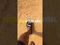 Second Daily Mini Vlog 🏏 Day-2 #shorts #vlog #minivlog