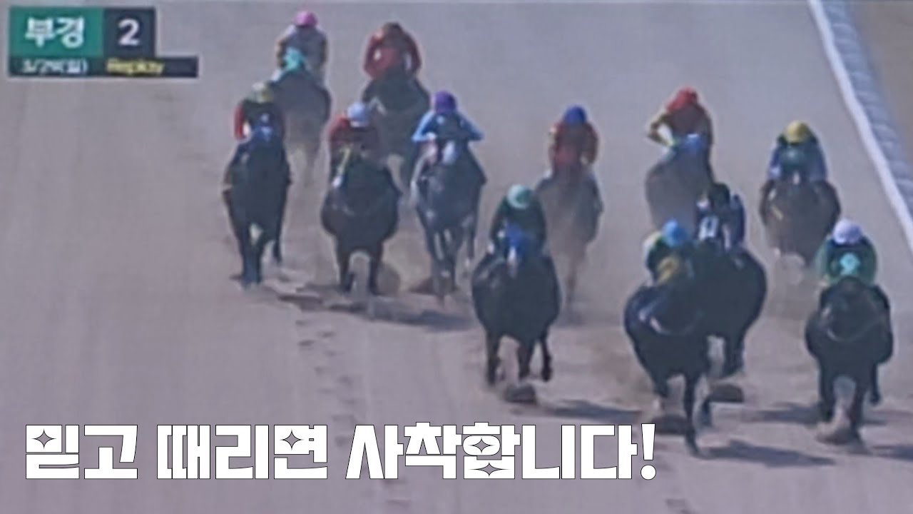 경마 잘났어 정말!(최고로 잘타는 기수도 내가사면 사착/다음부터는 안믿을께!)