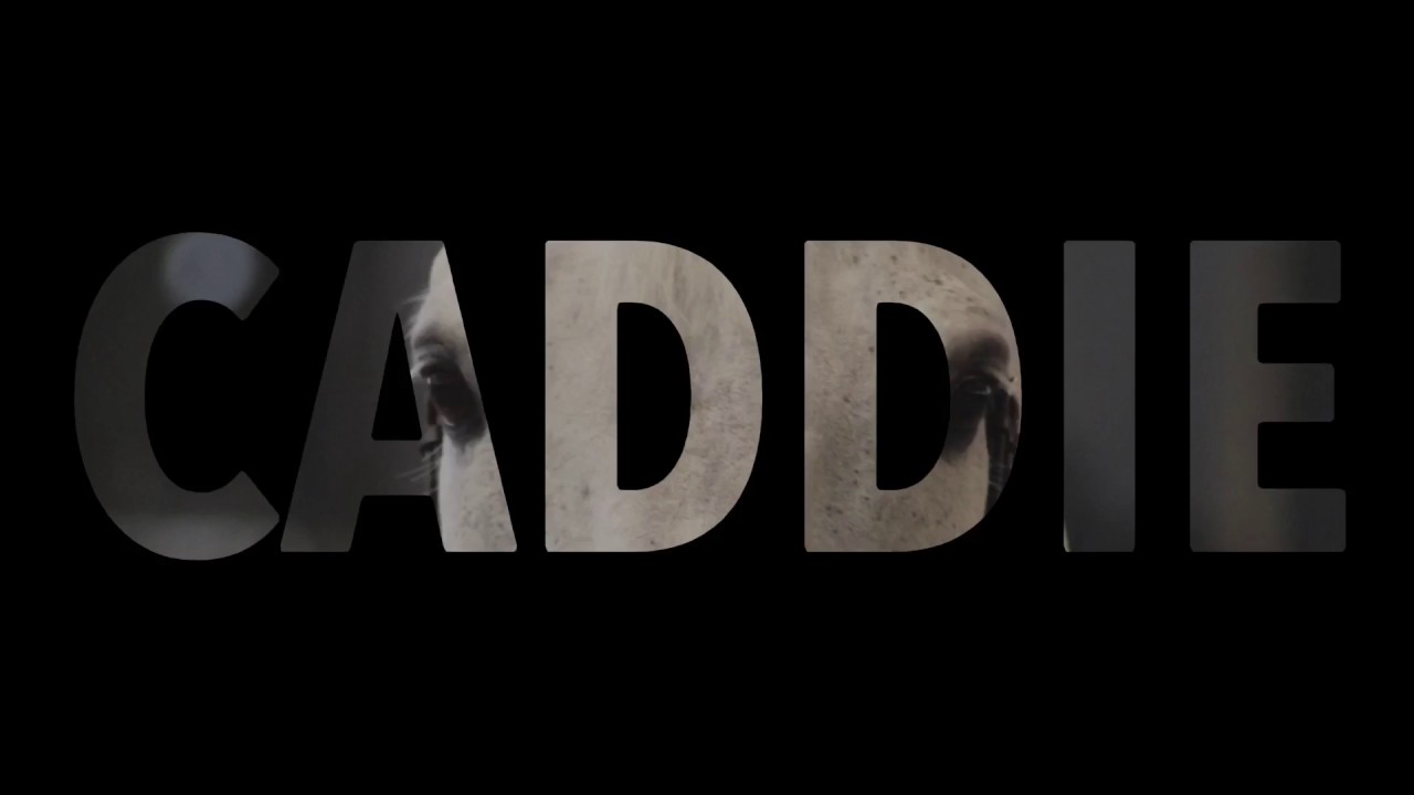 Caddie - YouTube