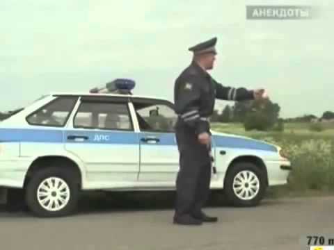Анекдоты  Вова почему камбала плоская СУПЕР прикол webm 640x3602