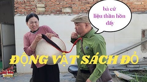 HÀI TẾT 2026 : CHẾT CƯỜI với quy định của TRƯỞNG THÔN