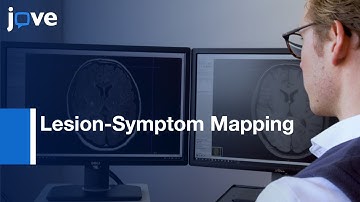 Brain Infarct Segmentation-Registration MRI/CT: Lesion-Symptom Mapping