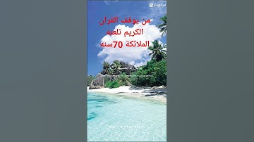 القران الكريم سوره الشمس بصوت القارئ الشيخ محمد  #_القرآن_الكريم ❤️