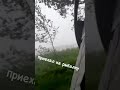 Жизненно...)