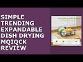 Simple Trending Expandable Dish Drying Rack in Sink, Adjustable Dish - Best Budget Option? 🤯