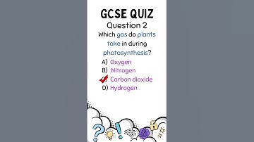 Only Top Students Get All 3 GCSE Science Questions Right