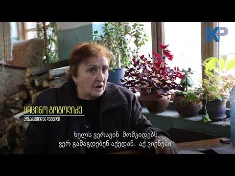 საბჭოთა მარშალის მძღოლის ცხოვრება ნანგრევებში