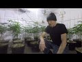 The Craft Grower/Indoor Grow Tips