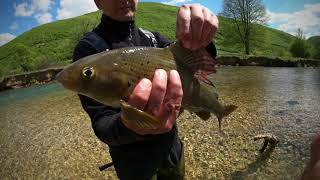 sana vrbas fly fishing 2020