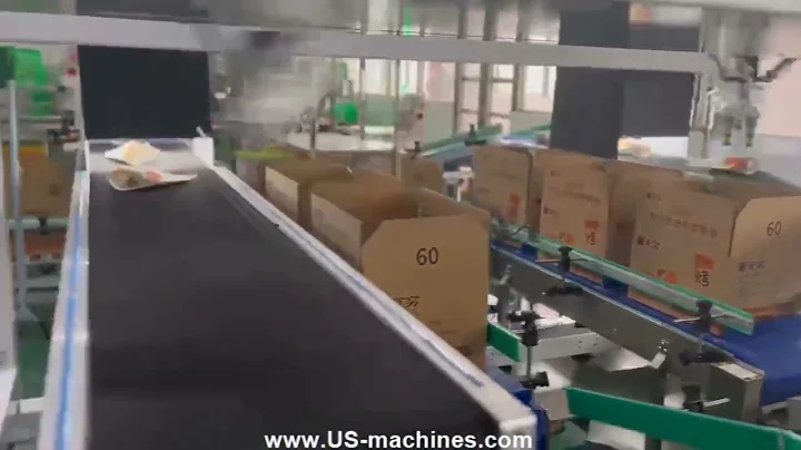 Automatic fast move speed robot hand sorting pick up bag cartoning machine