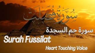 Surah Fussilat | Surah Ha Mim As-Sajadh | By Sheikh Abdul Rahman Al-Juraidhi | 41-سورۃحم السجدة. 1
