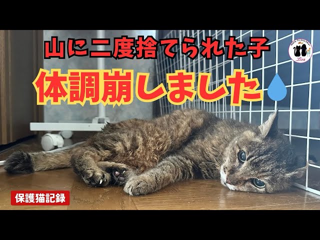 A child who was abandoned twice in the mountains has fallen