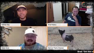 How To Feed a Lighter-Muscled (Green) Show Pig | Sunglo Feeds