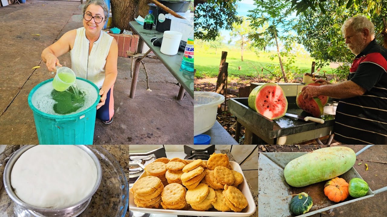 VIDA NA ROÇA E ASSIM! FIZ SABÃO LÍQUIDO E BOLACHA DE AMENDOIM 