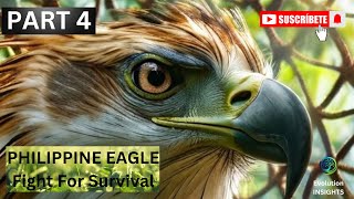 "The Philippine Eagle: King of the Rainforest; A Conservation Journey | Evolution INSIGHTS | PART 4"