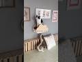 猫ファーストな家でもインテリアを諦める必要はありません #Shorts
