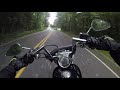 Watch this before you consider buying a Sportster 1200