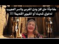 ودن الفرس كلمة السر لدخول شديت أو مدينة الفيوم القديمة 