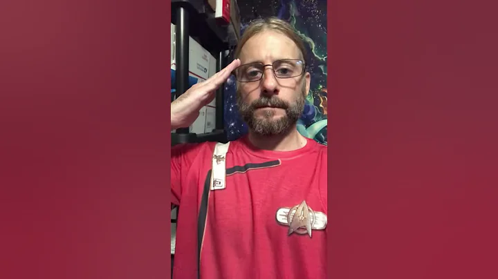 Video 212781: cat turkish, adorable turkish, adorable fluffy cat, cat fun