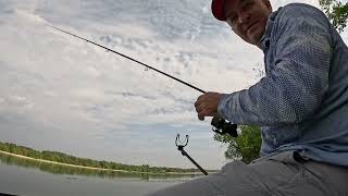 картинка: Ловля на фидер в августе