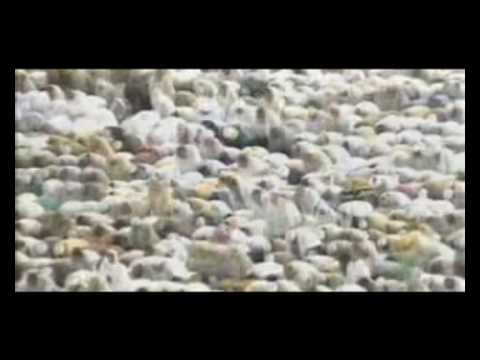 [English subs] Emotional Quran Recitation from Makkah Fajr Sheikh Khalid Ghamdi Surah Imraan