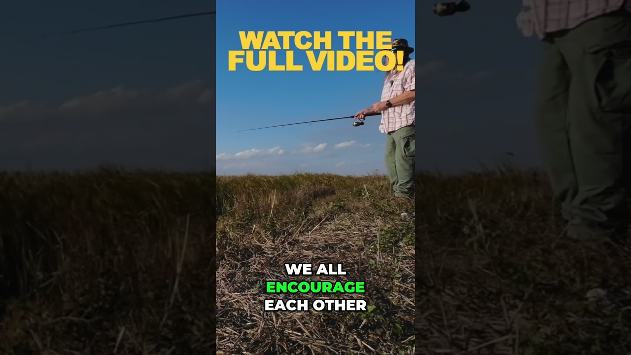 Escape City Stress: Find Your Optimism in Nature & Our Livestream! 