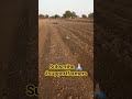 Soybean Sowing on New Bed Furrow Pattern | BBF Method for Higher Yield | Complete Guide