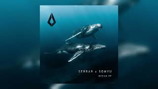 Serra9 x Somyu - Final Signal