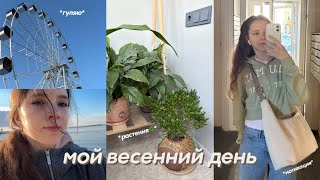 PRODUCTIVE DAY IN MY LIFE | готовим вместе, уборка, пересаживаю бамбук и спорт🍵🍓🌟 