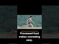 Carbs vs Fat Is the Wrong Fight