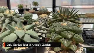 #70 - July Garden Tour with my cacti