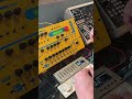 Jammin' w/ the Waldorf Q