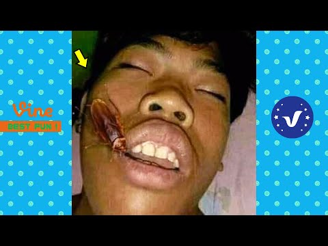 BAD DAY Better Watch This Best Funny Fails Of The Year 2023 Part 3