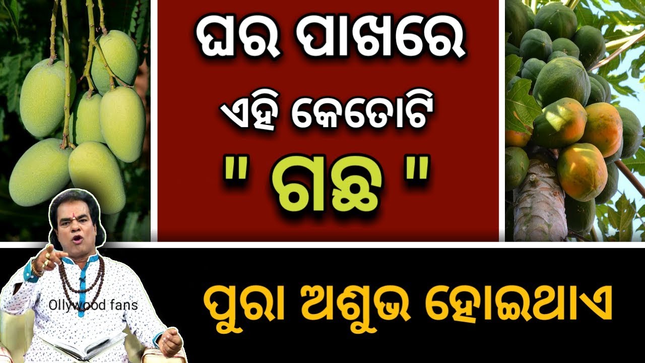 ଘର ପାଖରେ ଏହି କେତୋଟି ( ଗଛ ) ରହିଲେ - ବହୁତ୍ ଅଶୁଭ ହୋଇଥାଏ | ଜଲଦି ଜାଣନ୍ତୁ | Odia bayagita tips 2019