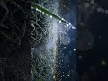 Alone Boy Walking Under Moonlight | Cinematic Night Vibes | Relaxing Aesthetic Short Film #veo3 #AI