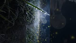 Alone Boy Walking Under Moonlight | Cinematic Night Vibes | Relaxing Aesthetic Short Film #veo3 #AI