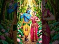 Radhe Radhe🥰❤️🙏 #radhakrishn #krishn #krishnworld #viralreel #radharani #viral #dwarka #dwarkadhish