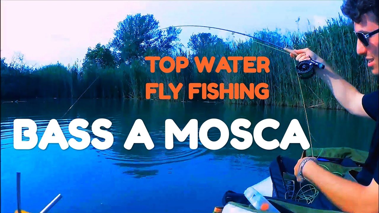 TOP WATER Bass a MOSCA (Fly Fishing for Bass) YouTube