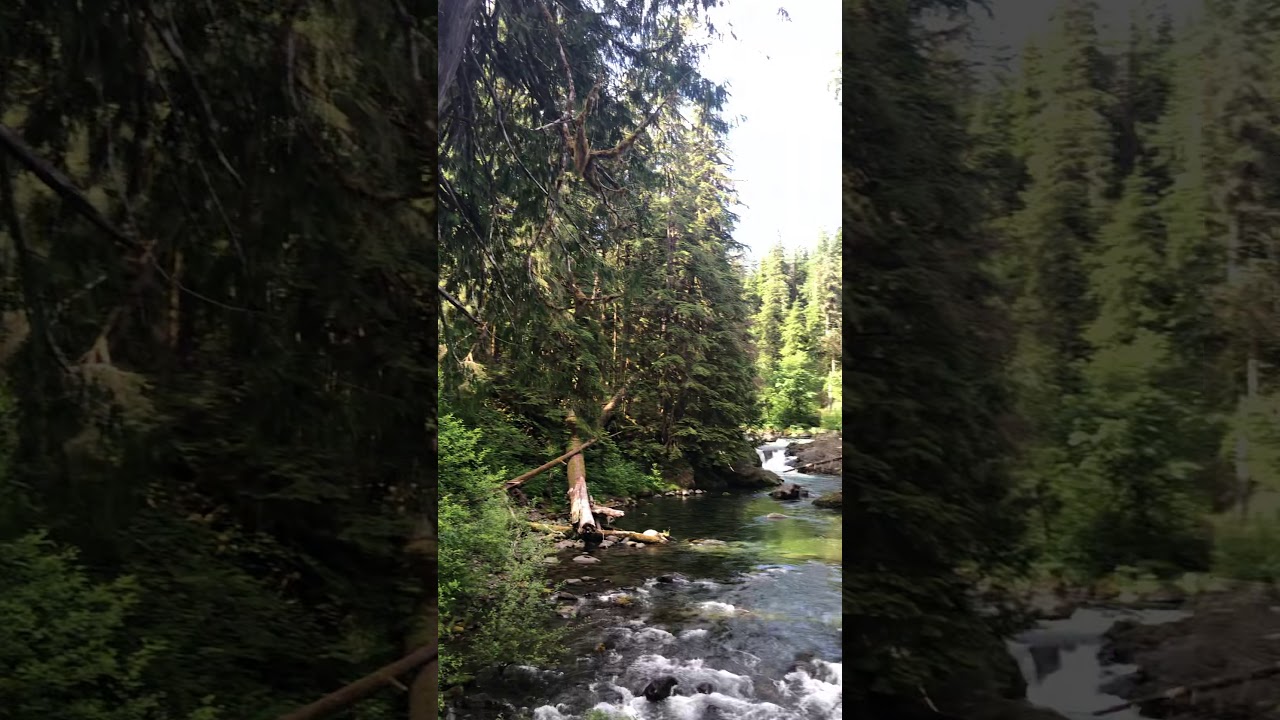 Sol Duc river, Washington