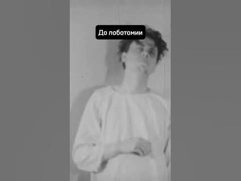 Это гуманно? 😨 #shorts - YouTube