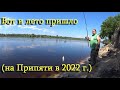 Вот и лето пришло (на рыбалке в июне 2022)