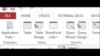 Microsoft Access 2013 Tutorial Net Worth