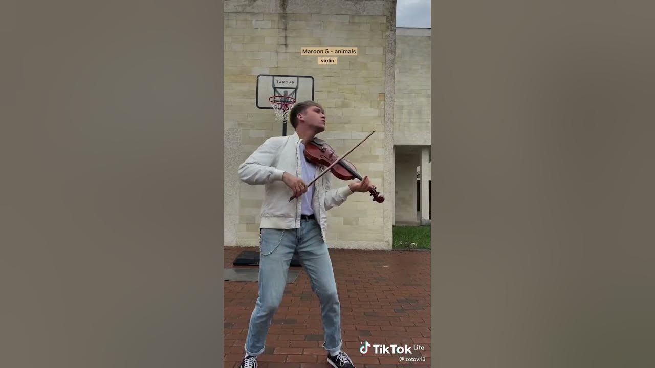 zotov.13•{ Maroon 5 animals } • violín