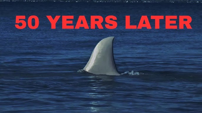 Jaws 2 | Just When You Think It's Safe Again! | Extended Preview - YouTube