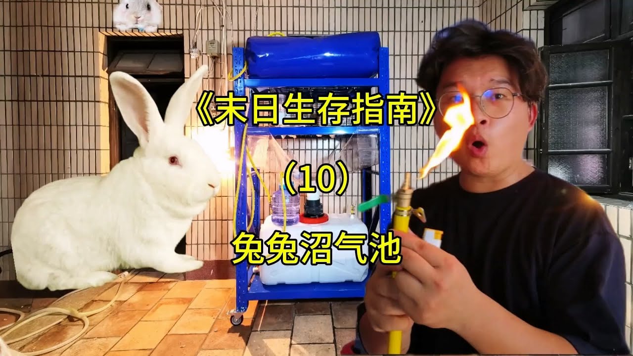 兔兔沼气池完成！ 恭喜刘地主和三位长工成功加入末日堡垒的生态系统【刘惟与】#沙雕日常 #室内农场 #生态循环 #末日生存