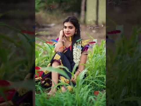 மதினி நான் மத்தோட வாரேன் பாடல்