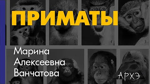 Марина Ванчатова: 