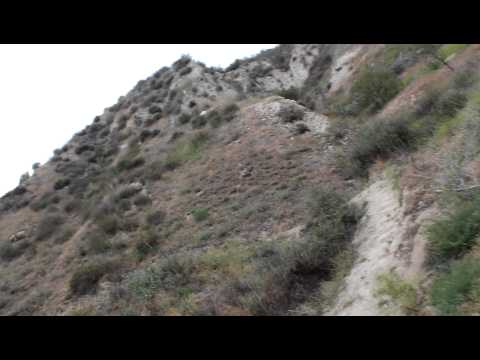 Simi valley california lion archery