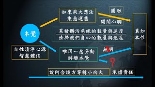 惟智薰法香心得20210826 靜思法髓妙蓮華834集